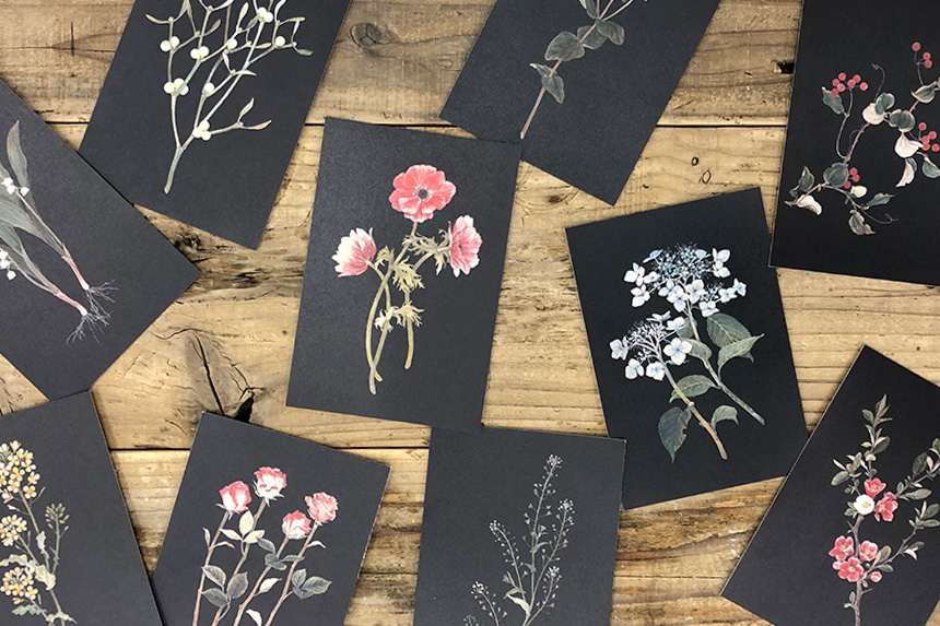 ポストカード〔アート タッチ〕 sasaki megumi 花柄 B｜タッチアンドフロー オンラインショップ ｜TOUCH & FLOW