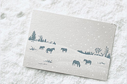 knoten letterpress『活版でひろう　季節のかけら』